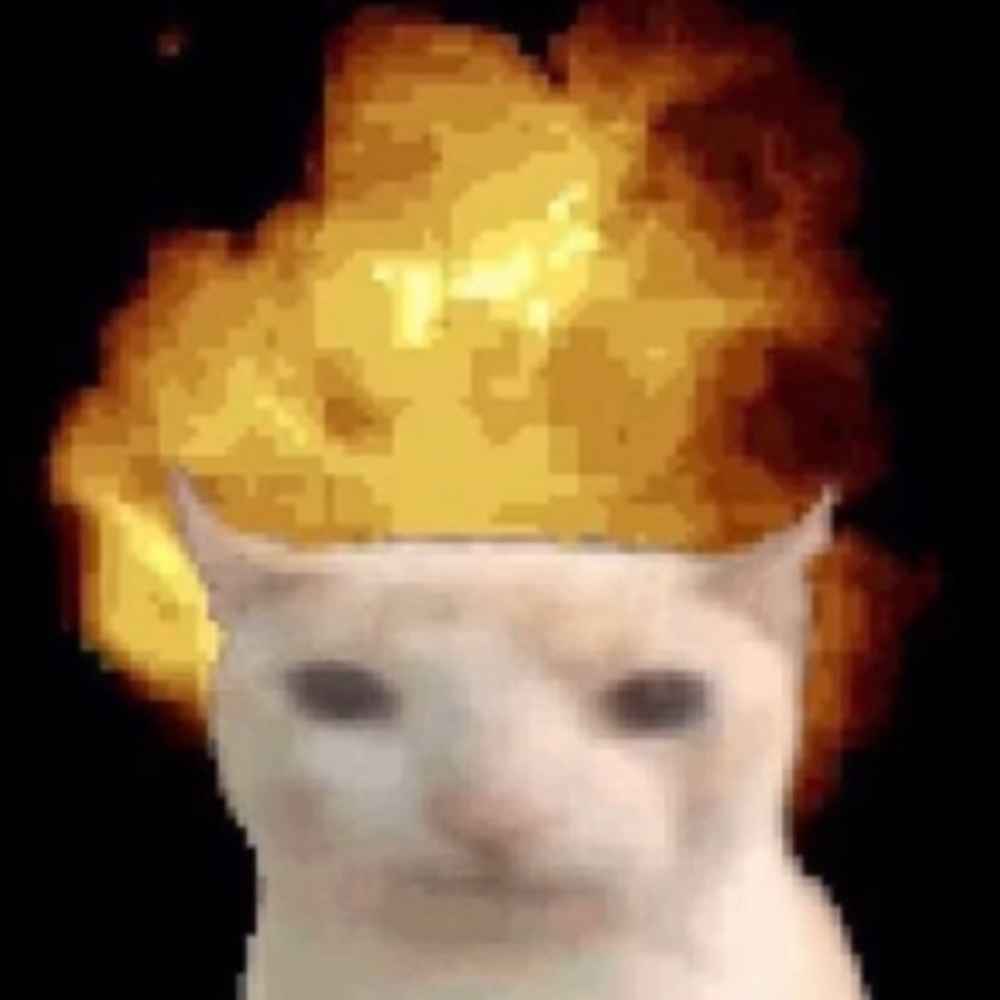 Meet your Posher, Alexia